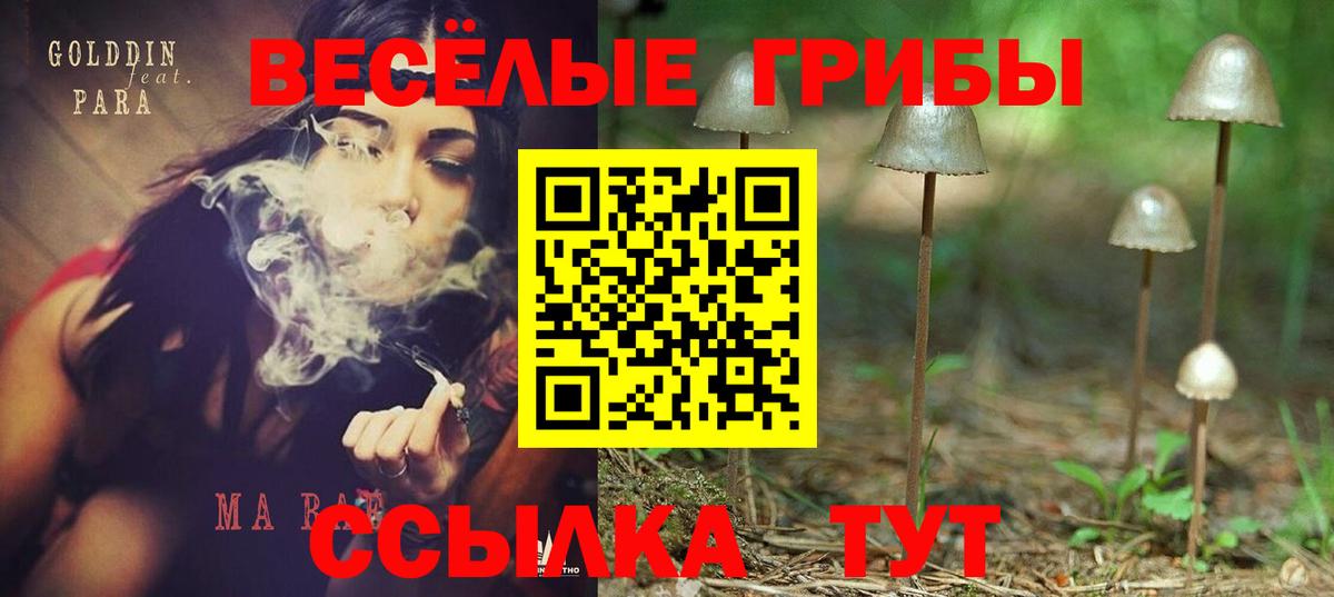 Псилоцибиновые грибы MAGIC MUSHROOMS Сосновый Бор