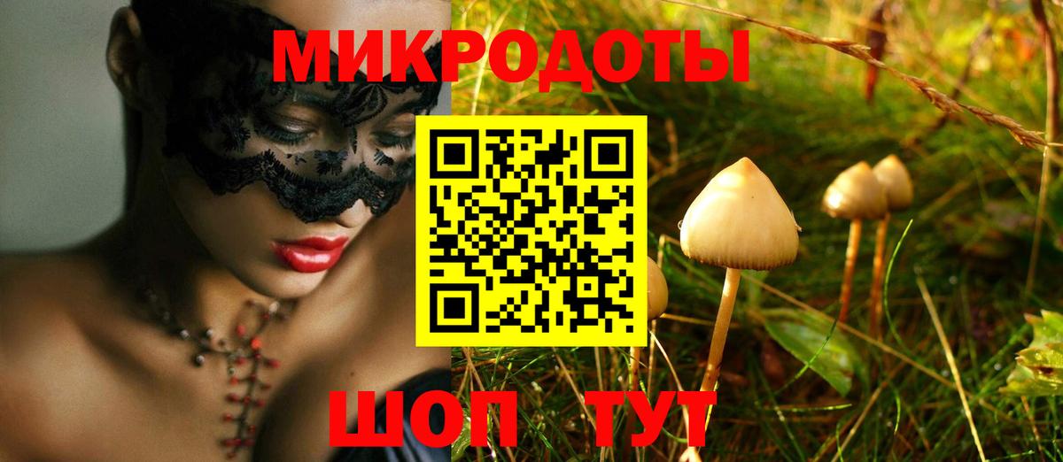 Сосновый Бор  Псилоцибиновые грибы мицелий  Вход с VPN 